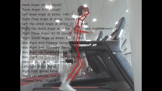 Running Form Analysis System